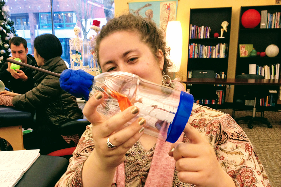 Classroom lung model