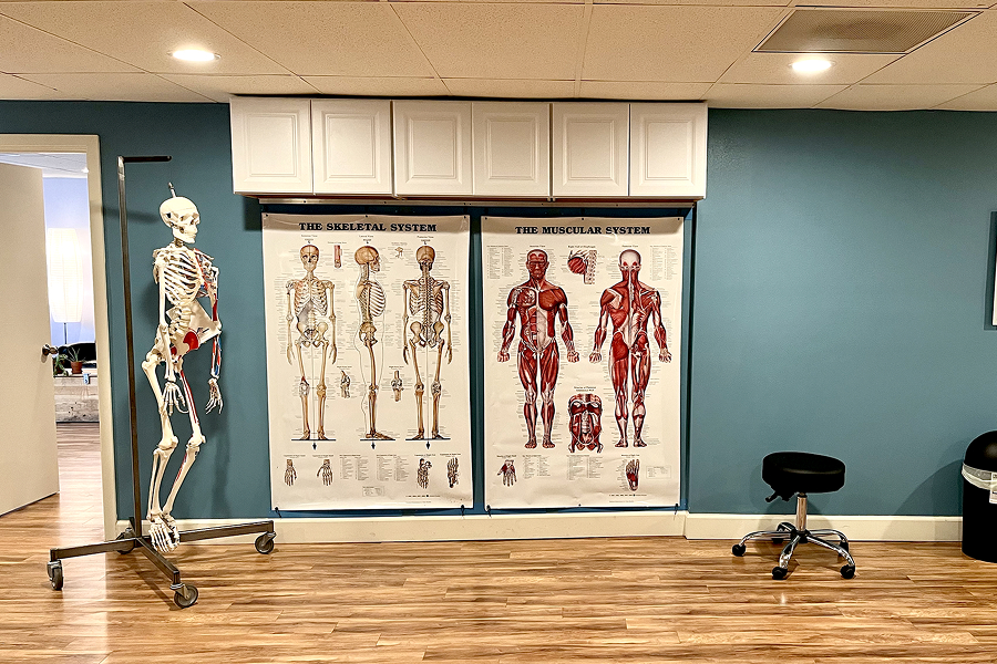 Classroom with skeleton anatomy posters
