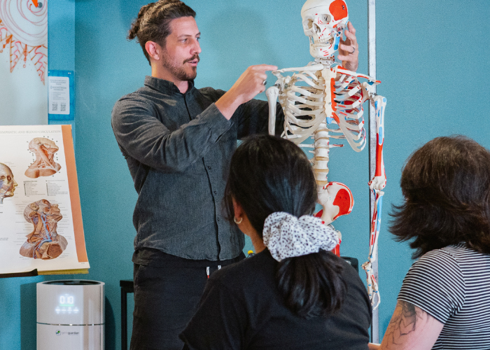 Massage instructor demonstrating on anatomy skeleton