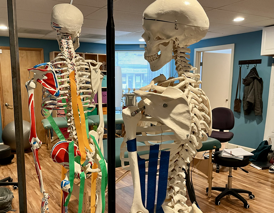 Classroom skeletons